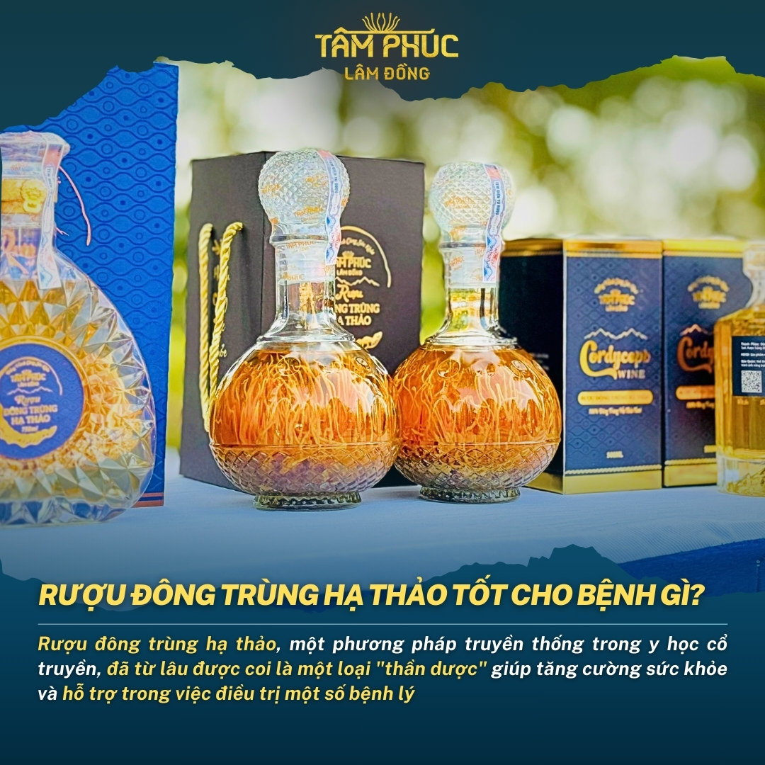 Rượu Đông Trùng Hạ Thảo: "Thần Dược" Cho Sức Khỏe Vàng