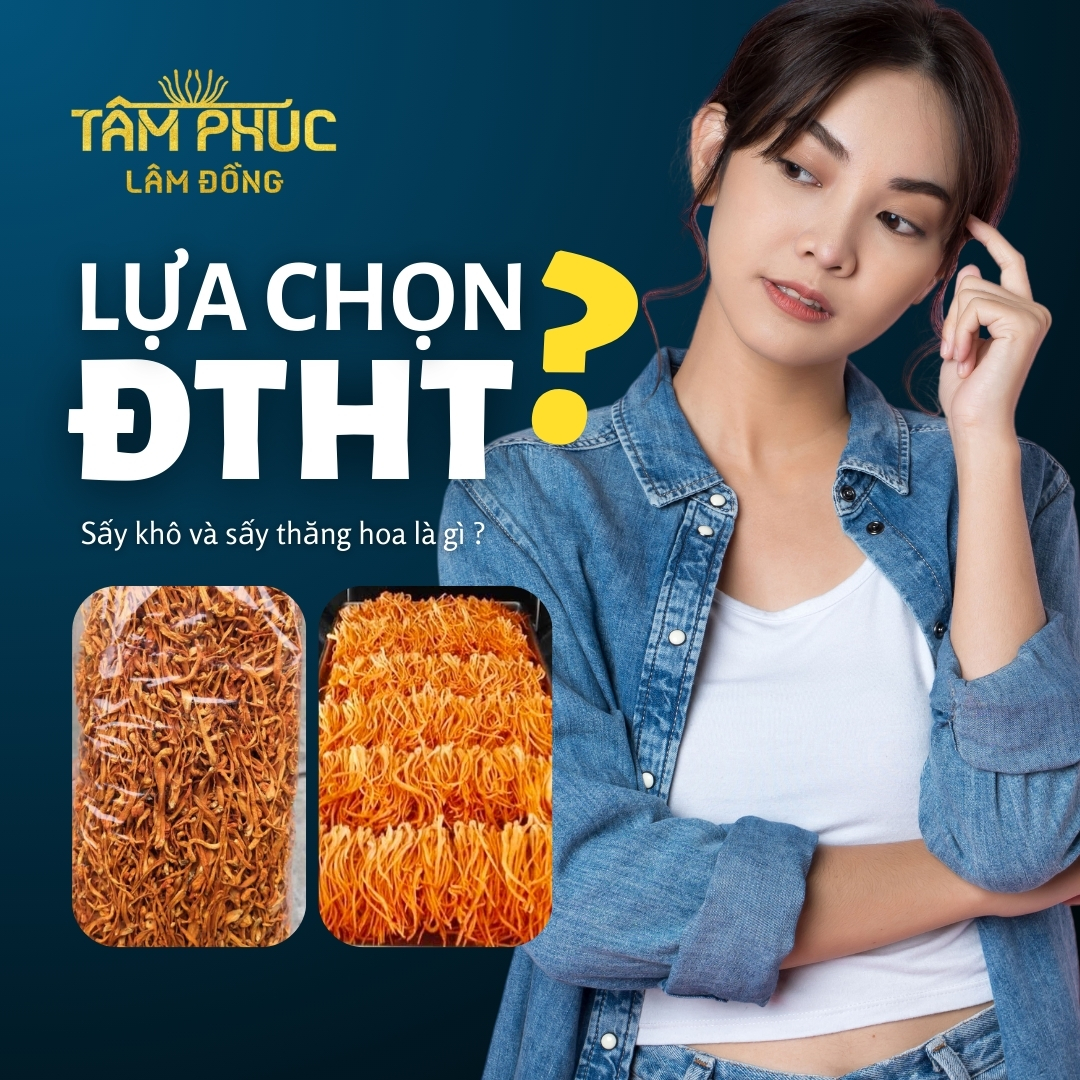 So Sánh Đông Trùng Hạ Thảo Sấy Khô và Sấy Thăng Hoa