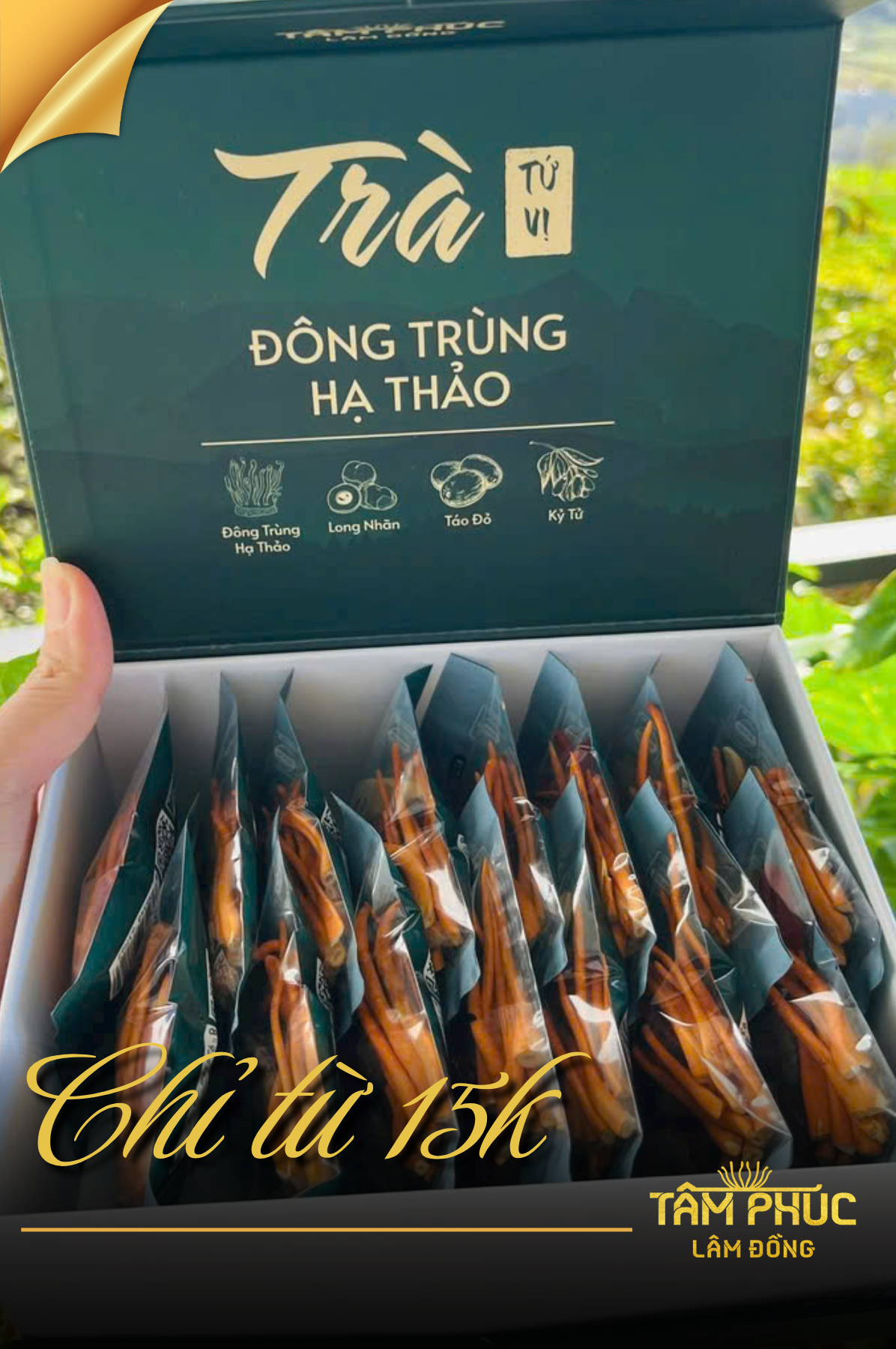 Trà túi vị Nam Đông Trung Hà Thảo: Thảo dược quý cho sức khỏe vàng