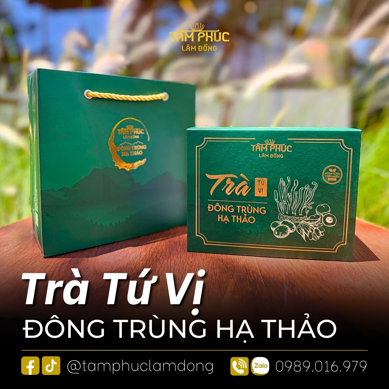 Trà Tứ Vị Đông Trùng Hạ Thảo: Lợi Ích Vàng Cho Sức Khỏe