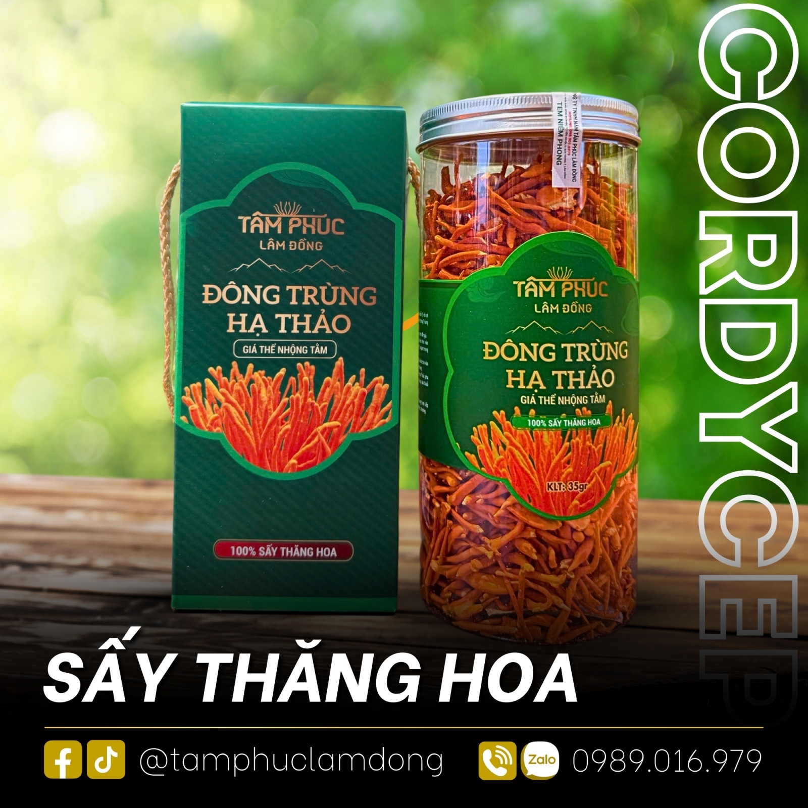 Đông Trùng Hạ Thảo Sợi Gãy Tâm Phúc Lâm Đồng có tốt không ?