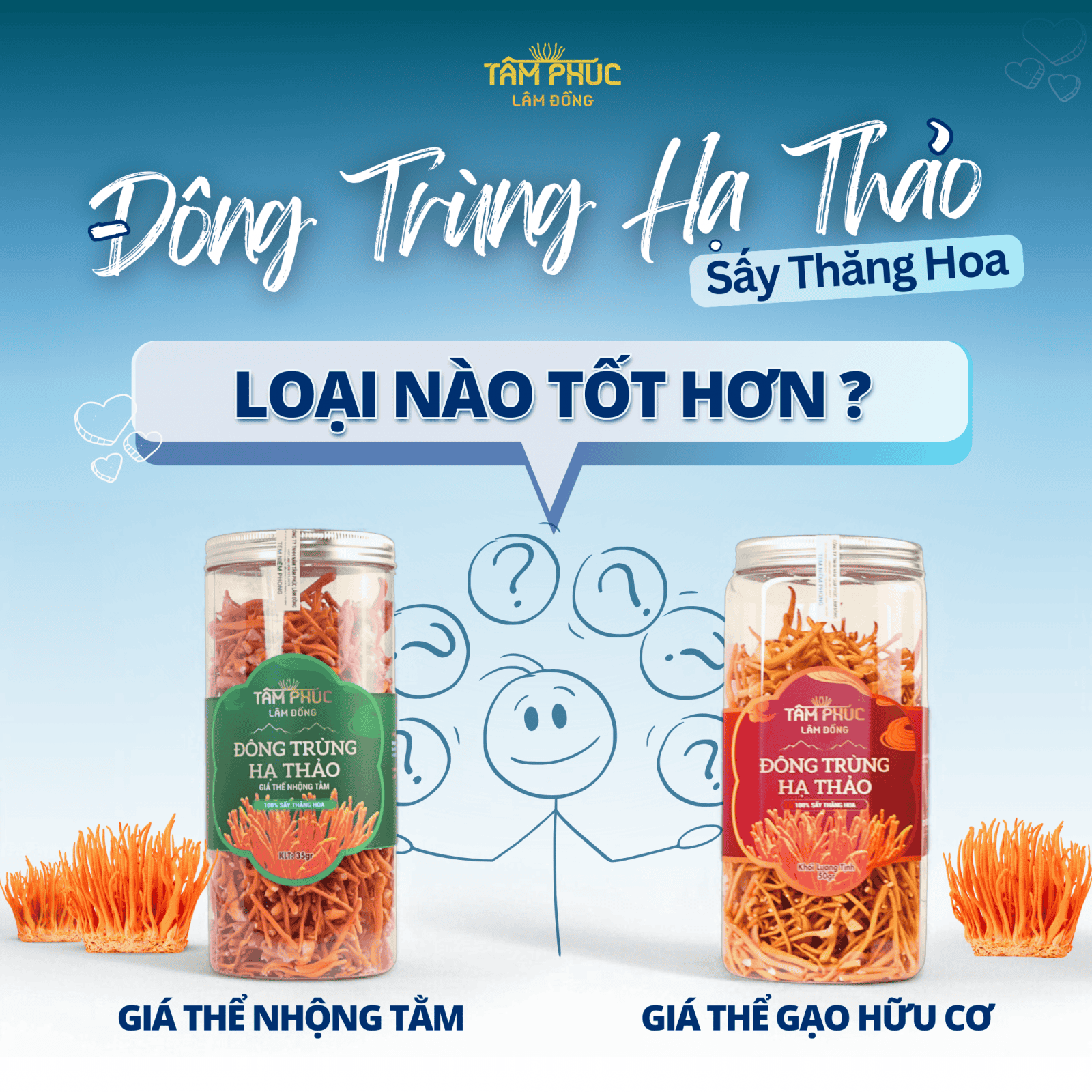 So Sánh 2 loại Đông Trùng Hạ Thảo hot nhất hiện nay : Giá Thể Nhộng Tằm Xay và Giá Thể Gạo Lứt Hữu Cơ